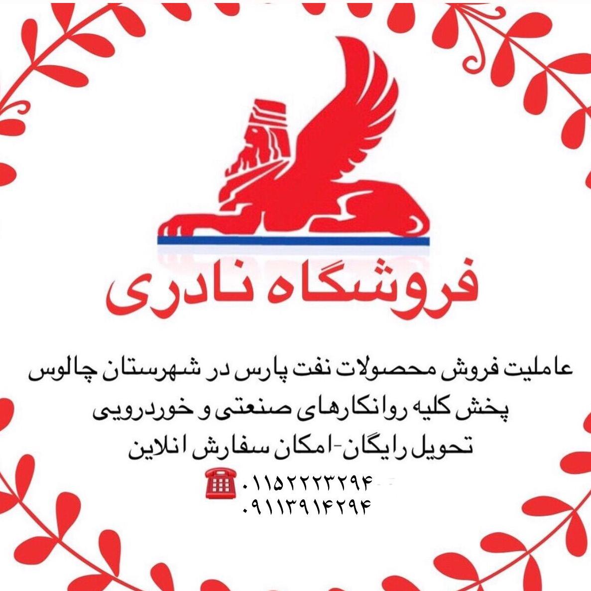 لوگو لوازم یدکی نادری 