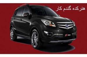آپشن انواع خودرو
