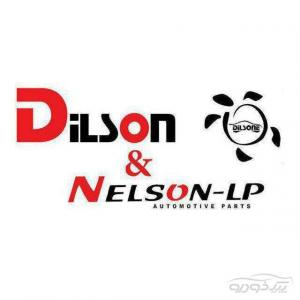 نلسون و دیلسون