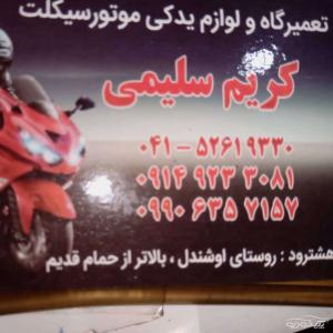 موتورسازی در هشترود