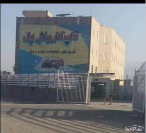 کارواش خودرو پل